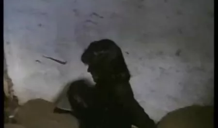 Koci Raj erotyka starsze panie