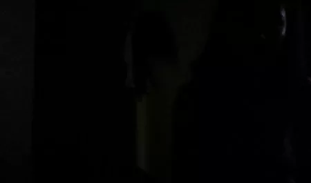 Apolonia-