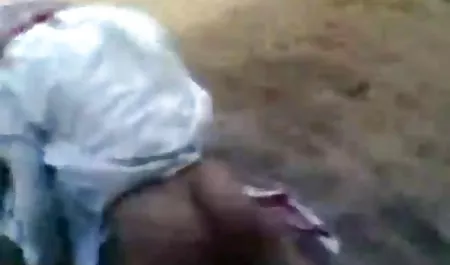 Kot dojrzałe i sex zabawki nowy młody baleriny w oczach